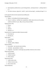 Konflikto samprata 12 puslapis