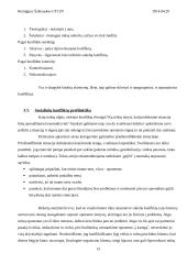 Konflikto samprata 13 puslapis