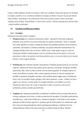 Konflikto samprata 14 puslapis