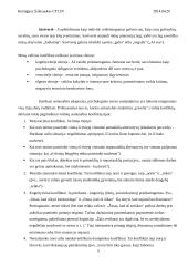 Konflikto samprata 5 puslapis