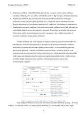 Konflikto samprata 6 puslapis