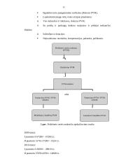 Ūkininko X mokami mokesčiai valstybei ir savivaldybei 11 puslapis