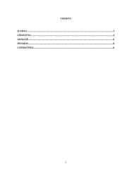 Palankių santykių su pasirinktu asmeniu formavimas. 2 puslapis