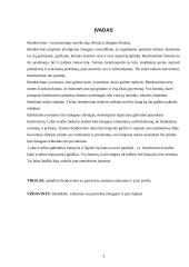 Palankių santykių su pasirinktu asmeniu formavimas. 3 puslapis