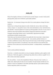 Palankių santykių su pasirinktu asmeniu formavimas. 6 puslapis