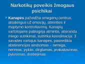 Žalingi įpročiai skaidrės 13 puslapis