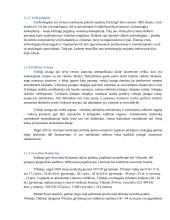 Lietuvos Kartingų Draugija verslo planas 11 puslapis