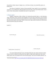 Lietuvos Kartingų Draugija verslo planas 12 puslapis