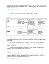 Lietuvos Kartingų Draugija verslo planas 13 puslapis