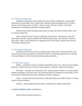 Lietuvos Kartingų Draugija verslo planas 14 puslapis