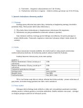 Lietuvos Kartingų Draugija verslo planas 15 puslapis