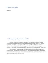 Lietuvos Kartingų Draugija verslo planas 17 puslapis