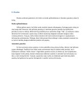 Lietuvos Kartingų Draugija verslo planas 18 puslapis