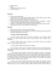 Lietuvos Kartingų Draugija verslo planas 4 puslapis