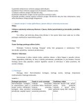 Lietuvos Kartingų Draugija verslo planas 8 puslapis