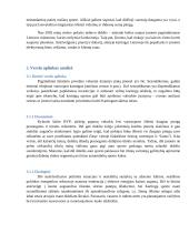 Lietuvos Kartingų Draugija verslo planas 10 puslapis