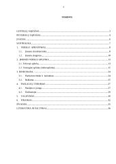 IĮ „Easy Count“ verslo planas 2 puslapis