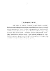 IĮ „Easy Count“ verslo planas 12 puslapis