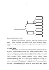 IĮ „Easy Count“ verslo planas 13 puslapis