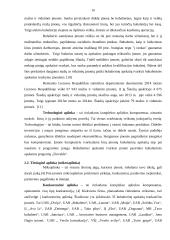 IĮ „Easy Count“ verslo planas 15 puslapis