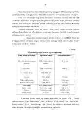 IĮ „Easy Count“ verslo planas 17 puslapis