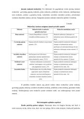 IĮ „Easy Count“ verslo planas 19 puslapis