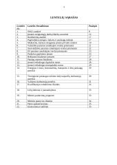 IĮ „Easy Count“ verslo planas 3 puslapis