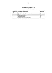 IĮ „Easy Count“ verslo planas 4 puslapis