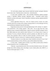 IĮ „Easy Count“ verslo planas 6 puslapis