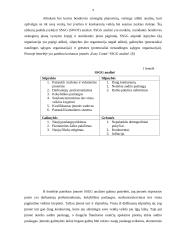 IĮ „Easy Count“ verslo planas 8 puslapis