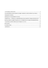 AC Akumuliatorių kroviklis/DC maitinimo blokas 2 puslapis