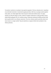 AC Akumuliatorių kroviklis/DC maitinimo blokas 14 puslapis