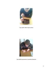 AC Akumuliatorių kroviklis/DC maitinimo blokas 17 puslapis