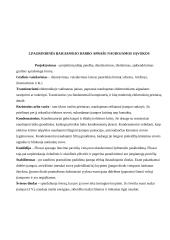 AC Akumuliatorių kroviklis/DC maitinimo blokas 4 puslapis