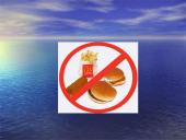 Šiuolaikinės mitybos problemos ir sveika mityba 5 puslapis