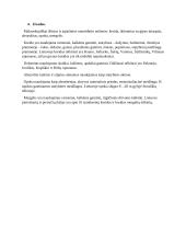 Nuosėdinės uolienos 2 puslapis