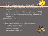 Rūkymo žala organizmui 4 puslapis