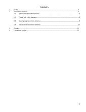 Vairavimo sistemos ir jų raida 2 puslapis