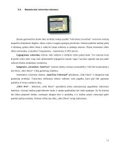 Vairavimo sistemos ir jų raida 11 puslapis