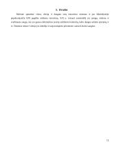 Vairavimo sistemos ir jų raida 12 puslapis