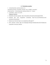 Vairavimo sistemos ir jų raida 13 puslapis