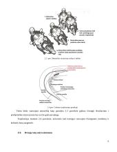 Vairavimo sistemos ir jų raida 6 puslapis