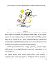 Vairavimo sistemos ir jų raida 8 puslapis