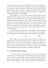 Mokslo raidos faktoriai 12 puslapis
