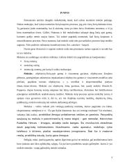 Mokslo raidos faktoriai 3 puslapis