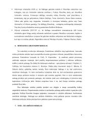 Mokslo raidos faktoriai 9 puslapis