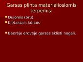 Garsas skaidrės 14 puslapis