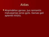 Garsas skaidrės 15 puslapis