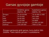 Garsas skaidrės 4 puslapis