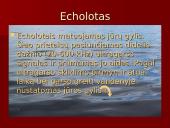 Garsas skaidrės 9 puslapis